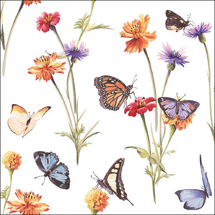 Butterfly garden white (5 stuks)