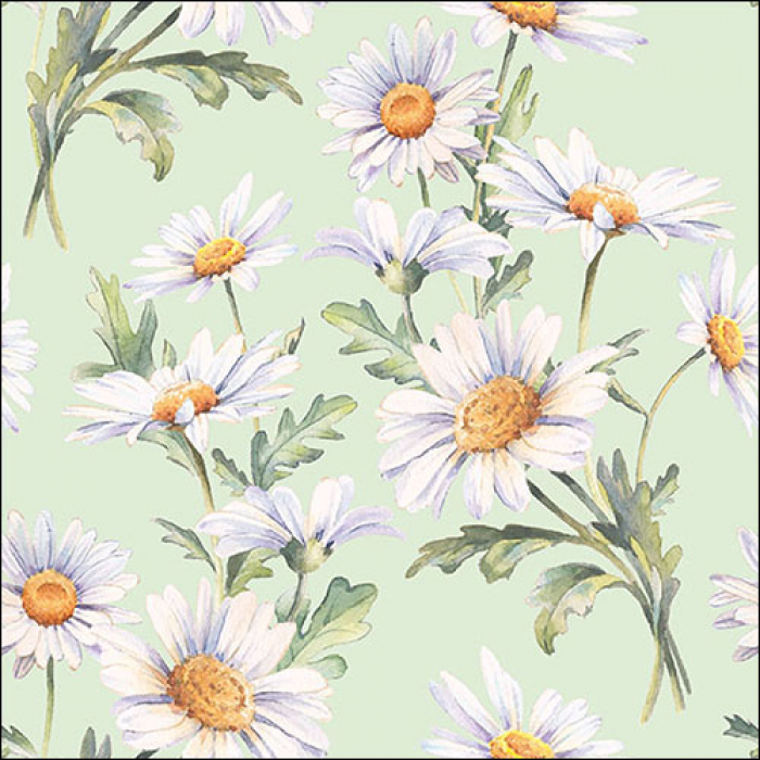 Beautiful Daisies green